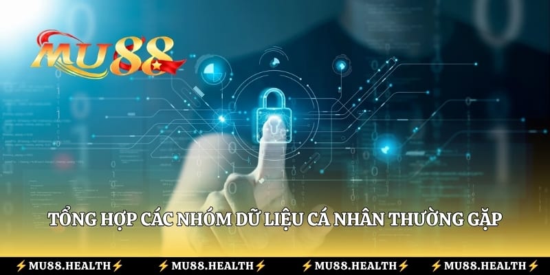 Tổng hợp các nhóm dữ liệu cá nhân thường gặp khi sử dụng nhà cái